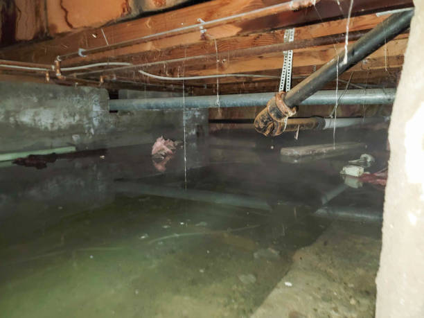 Best 24-hour water damage restoration  in West Leechburg, PA