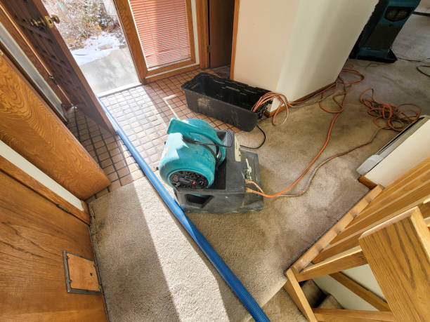 Best Water damage restoration near me  in West Leechburg, PA