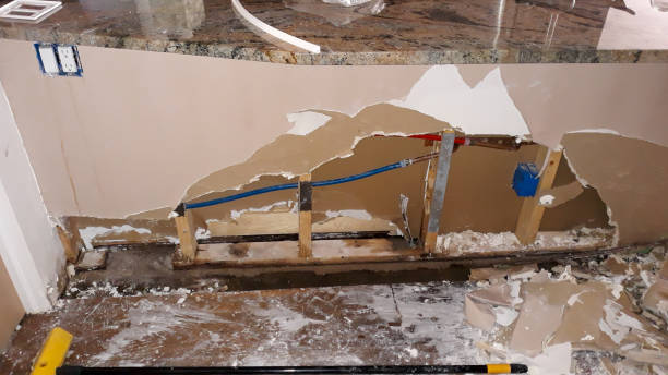 Best Water damage cleanup near me  in West Leechburg, PA
