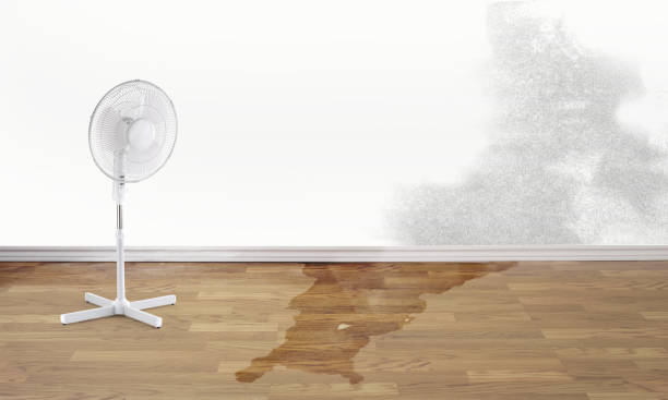 Best Basement water damage restoration  in West Leechburg, PA
