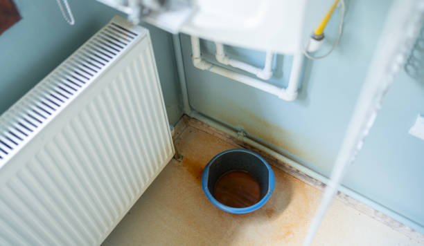 Best Mold removal after water damage  in West Leechburg, PA
