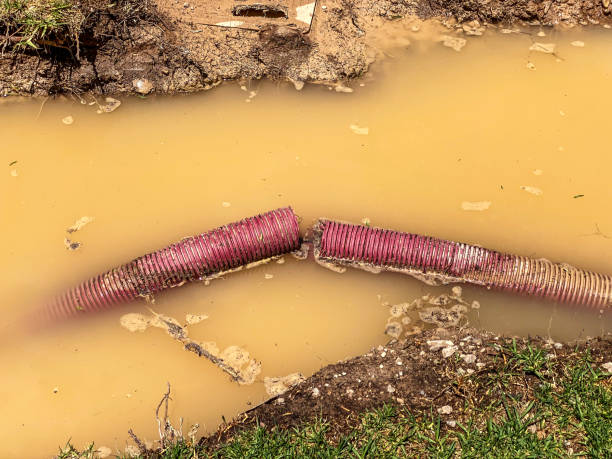Best 24/7 water damage repair  in West Leechburg, PA