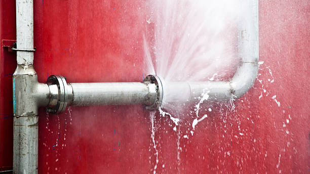 Best Sewage cleanup and water damage restoration  in West Leechburg, PA