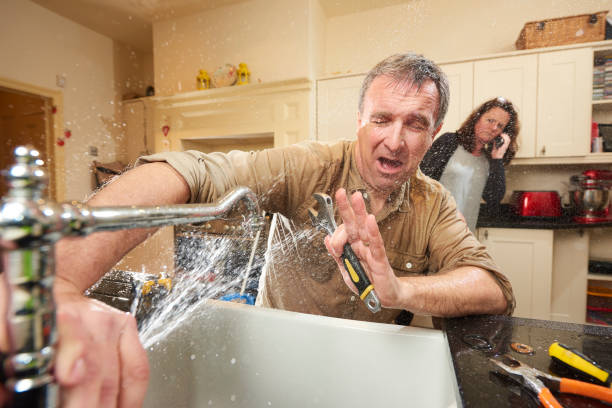 Best Carpet water damage restoration  in West Leechburg, PA